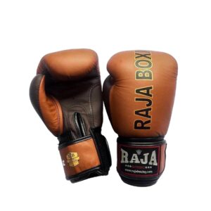 Gloves – RAJA BOXING